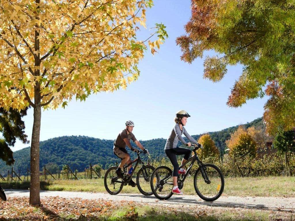 Discovery Parks - Bright Freeburgh Eksteriør bilde